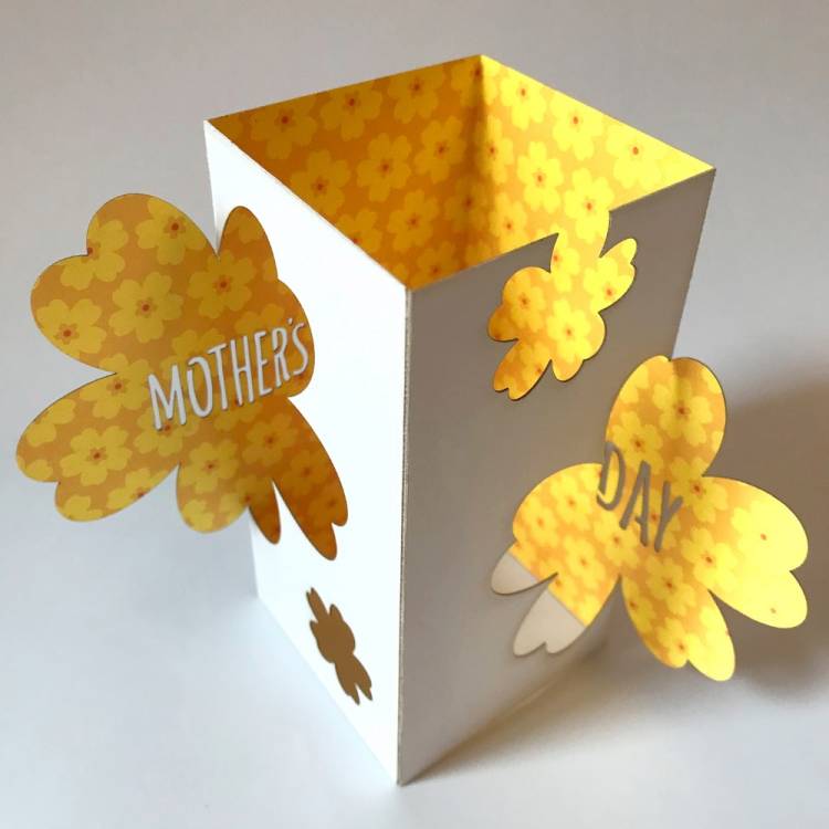 Mother's Day Flower Box